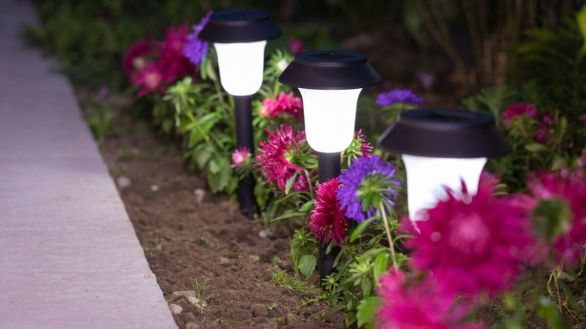 18 Brilliant Ways to Banish Groundhogs from Your Garden - Lights In Garden ss1709595382