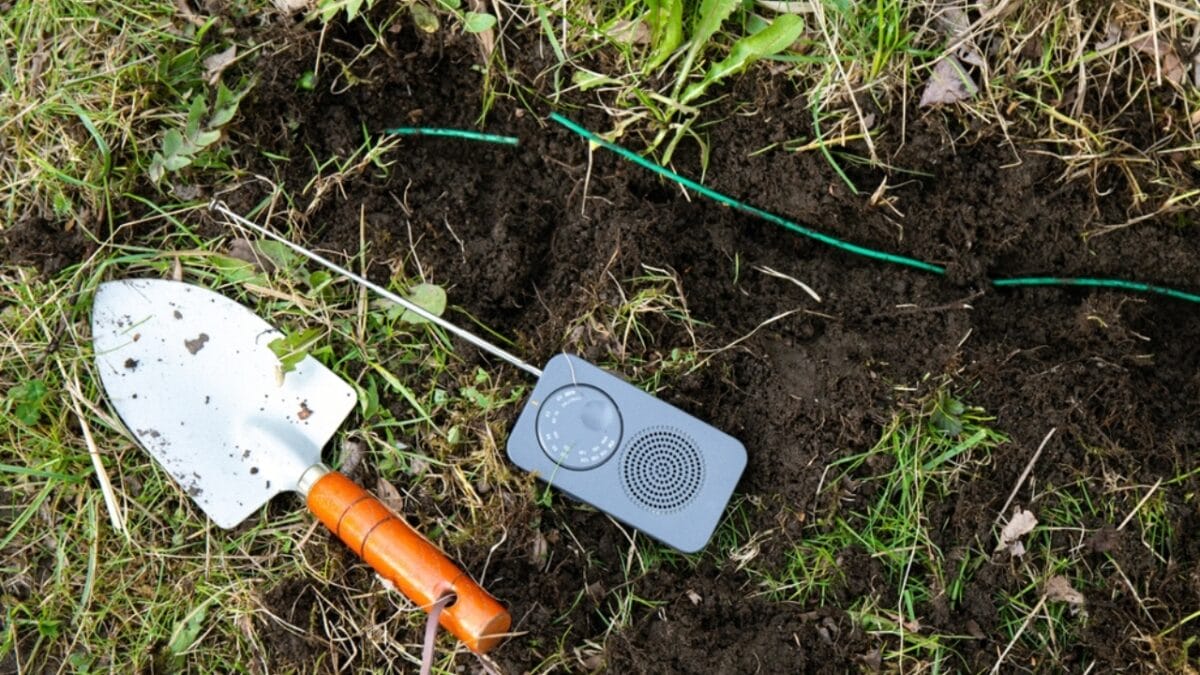 18 Brilliant Ways to Banish Groundhogs from Your Garden - Radio in Burrow ss2303352443