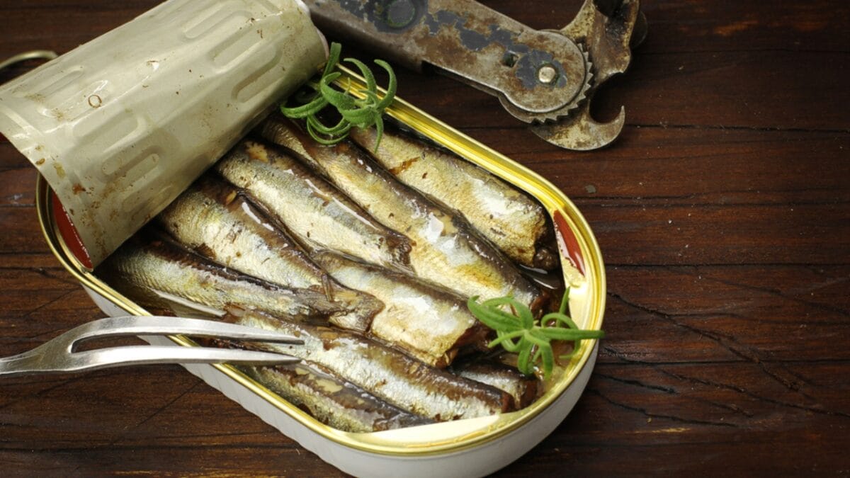 15 Foods That Can Help Your Sick Cat Start Eating Again - Sardines dp68917057