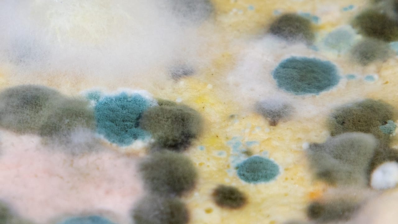 Don't Ignore Black Toilet Water: Here's What It Means & How to Solve It