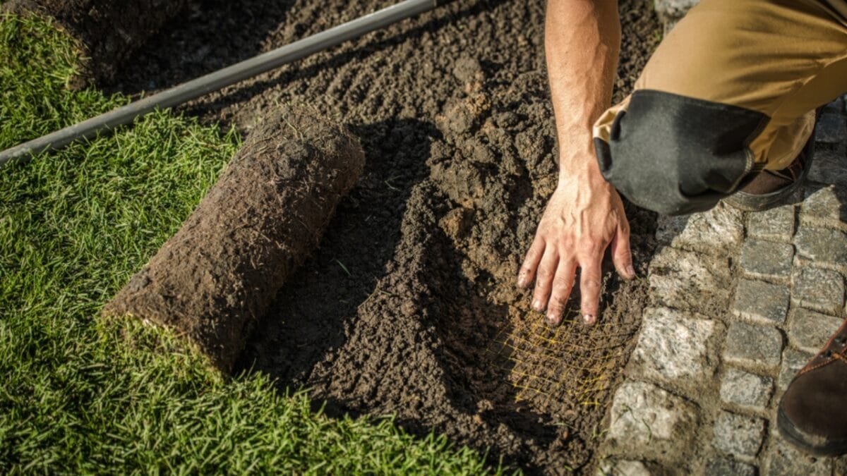 18 Brilliant Ways to Banish Groundhogs from Your Garden - Underground Fencing ss1544757767