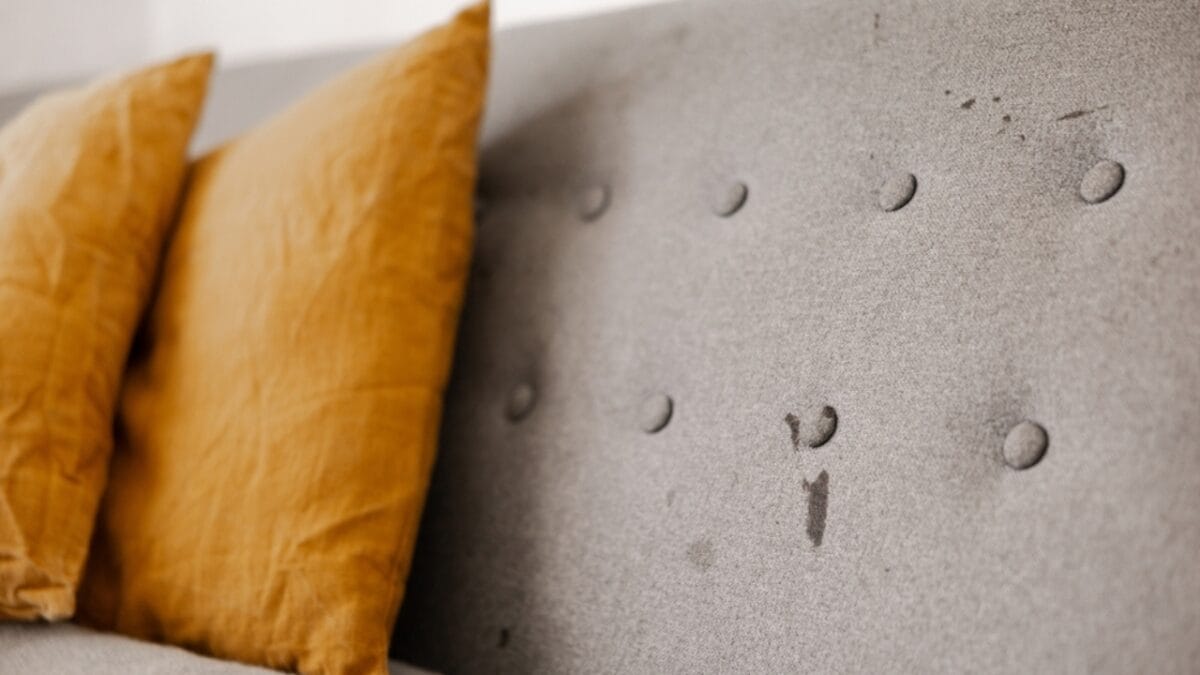 15 Household Items You Can Polish Up Using Toothpaste - Water Spots on Furniture ss2328190031