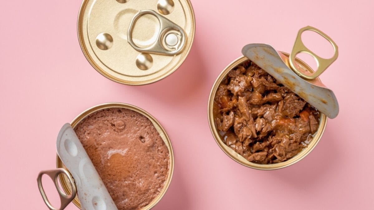 15 Foods That Can Help Your Sick Cat Start Eating Again - Wet Cat Food ss2226084499
