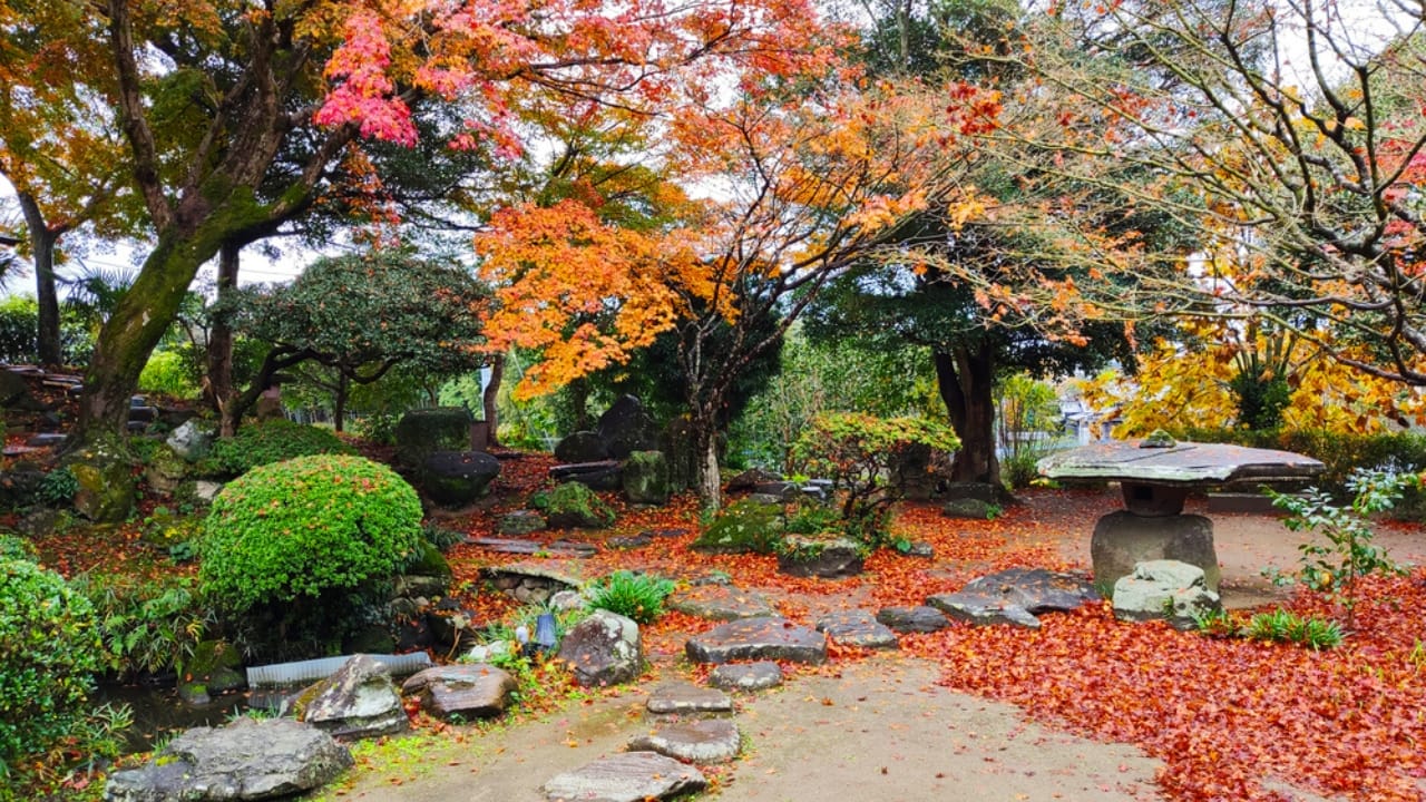 18 Plants Guaranteed to Bring Fall Colors to Your Landscape - Zen Garden dp336975078