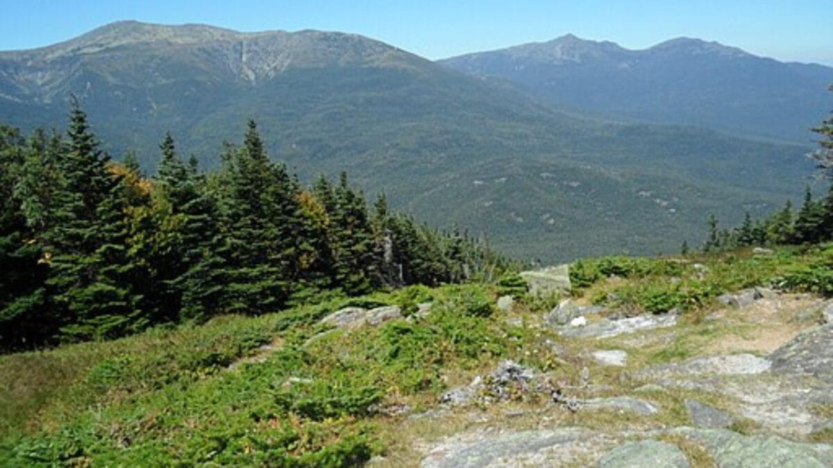 35 Dog Walking Trails That Prove USA Is a Dog's Paradise - appalachian trail wc 1