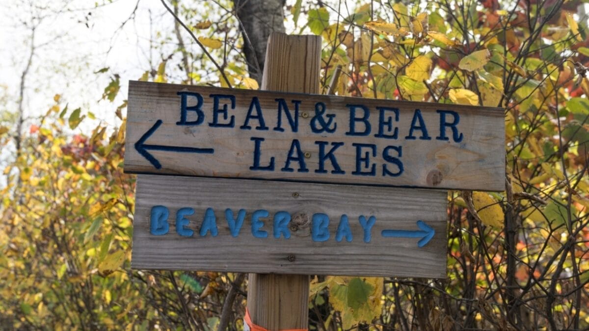 35 Dog Walking Trails That Prove USA Is a Dog's Paradise - bean and bear lakes minnesota ss2053980068