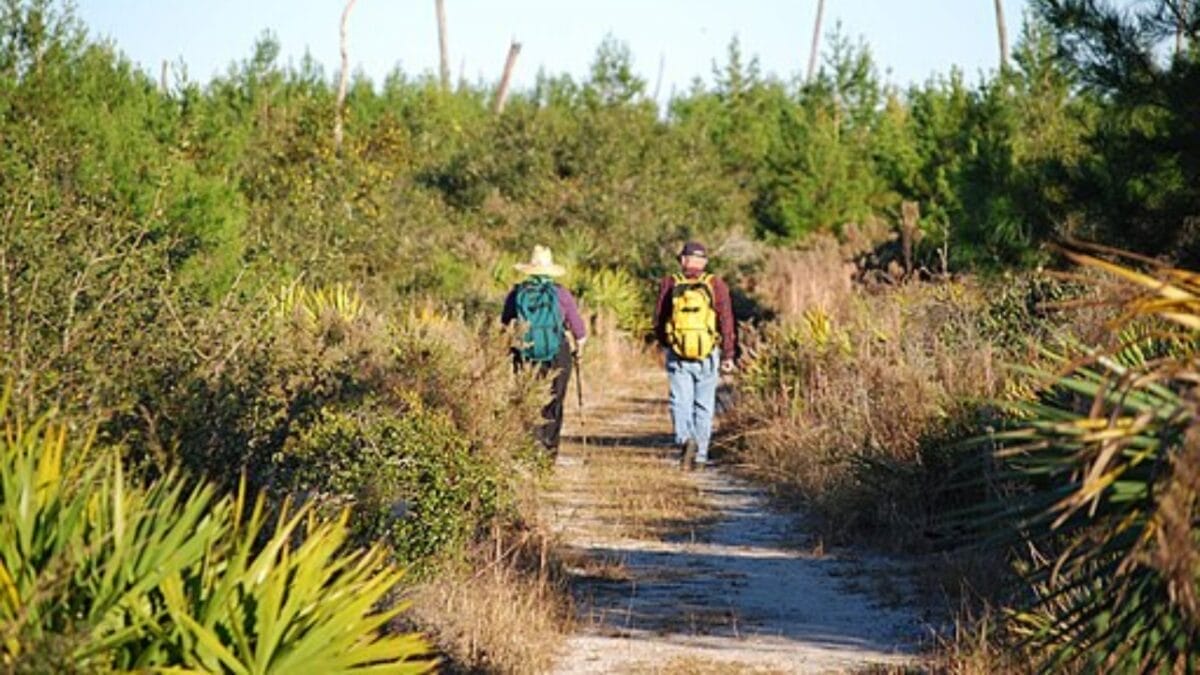 35 Dog Walking Trails That Prove USA Is a Dog's Paradise - black bear wilderness area trail wc