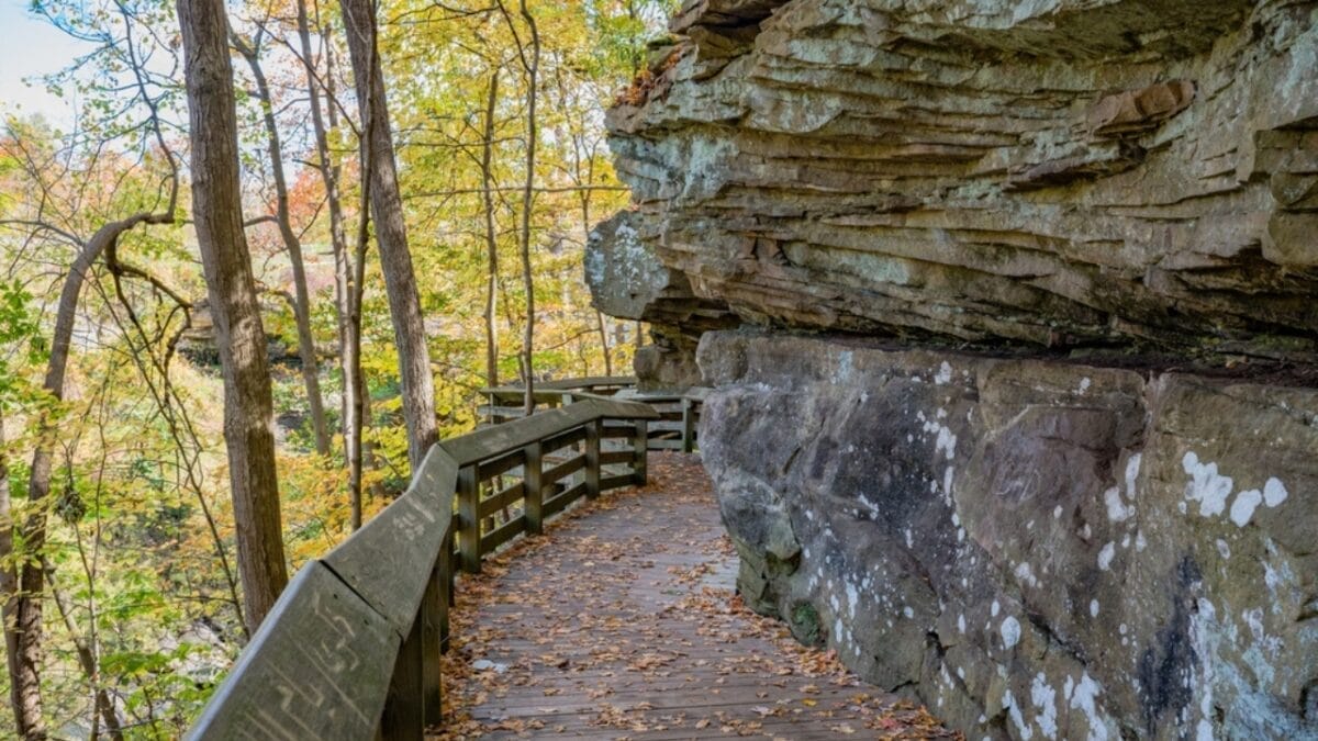 35 Dog Walking Trails That Prove USA Is a Dog's Paradise - brandywine falls trail ss2142603047
