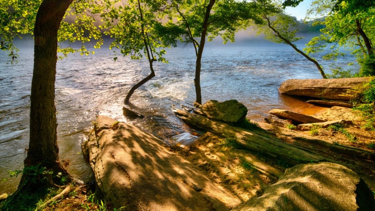 35 Dog Walking Trails That Prove USA Is a Dog's Paradise - chattahoochee river georgia ss1394124377