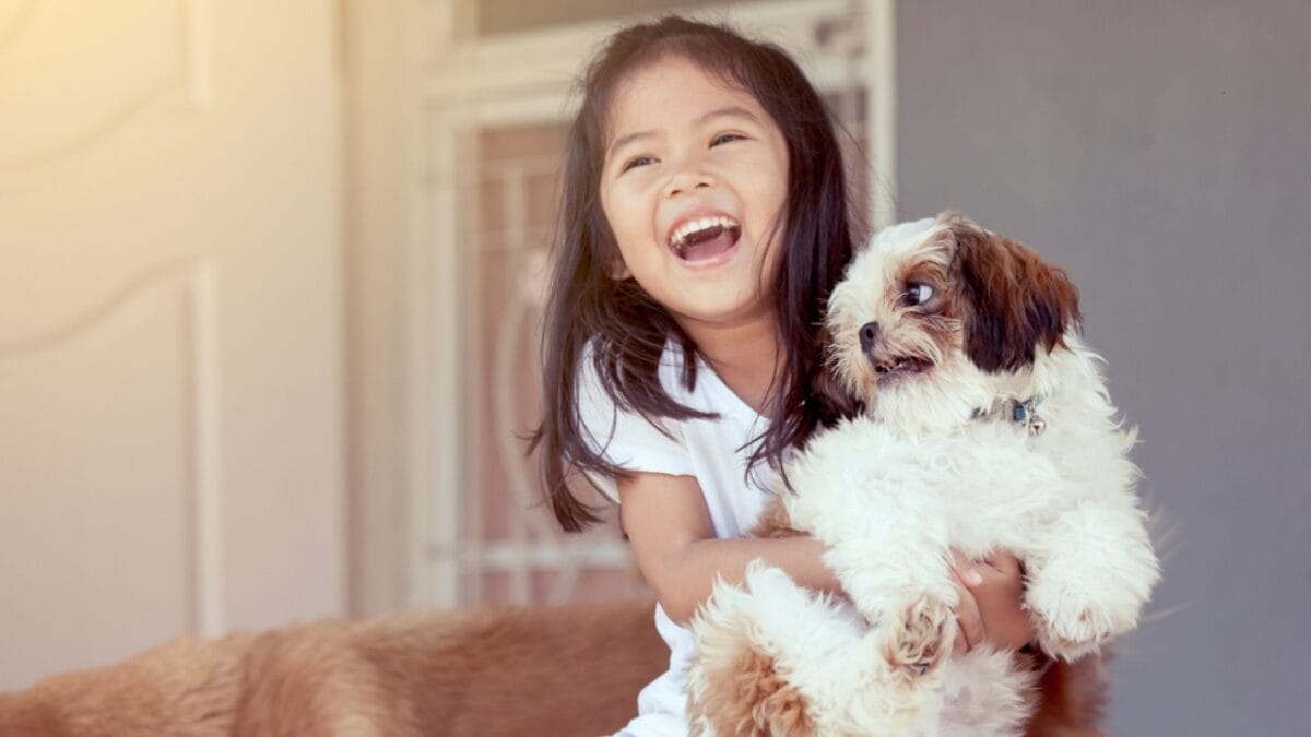 9 Shih Tzu Tips Every New Dog Parent Needs to Know - child hugging shih tzu dog ss646321600