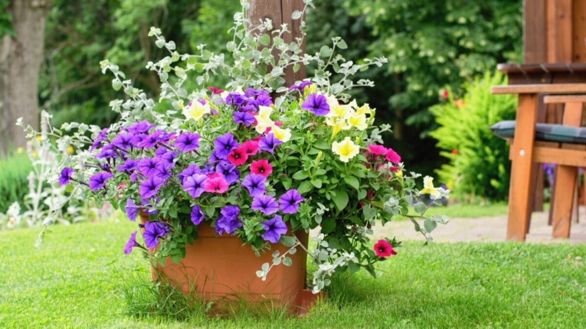 Say Goodbye to Garden Chores with These 20 Maintenance-Free Front Yard Ideas  - container garden ss2266093175