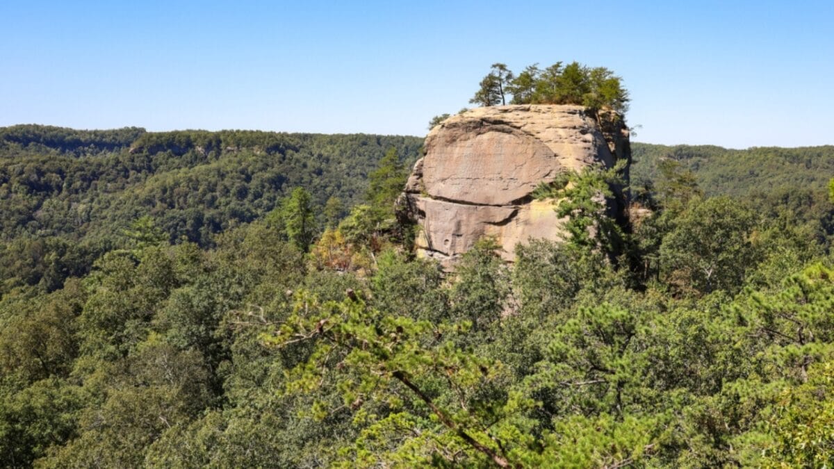 35 Dog Walking Trails That Prove USA Is a Dog's Paradise - courthouse rock auxier ridge ss1836799114