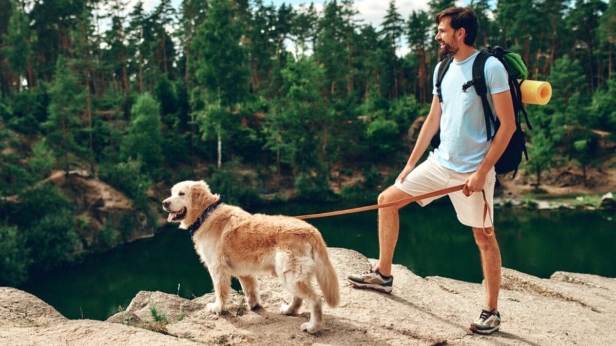 Paws on Trails: 7 Tips for Hiking with Your Dog - dog fitness dp514470440