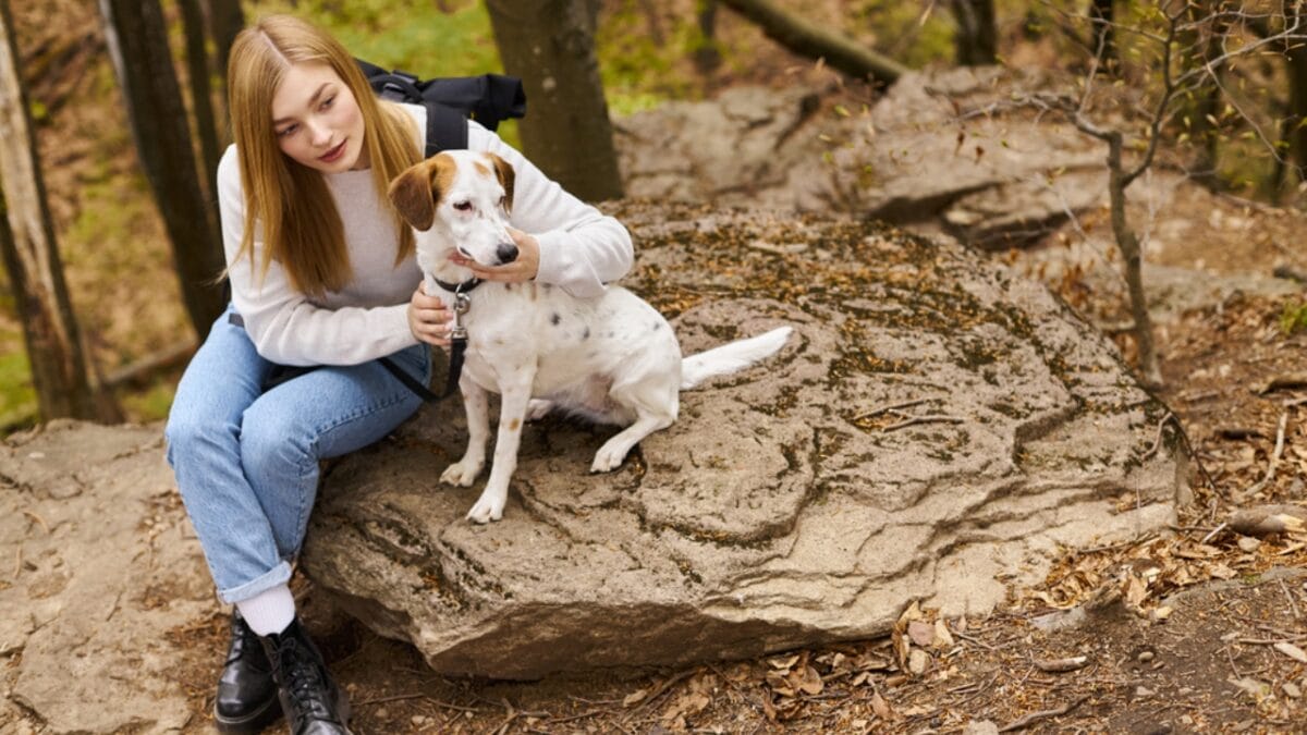 Paws on Trails: 7 Tips for Hiking with Your Dog - dog sitting dp699350624