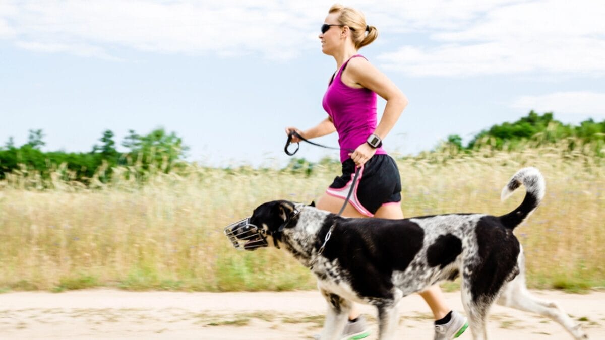 15 Dog Training Pitfalls to Avoid for a Better Bond with Your Pet - dog training running dp15520295