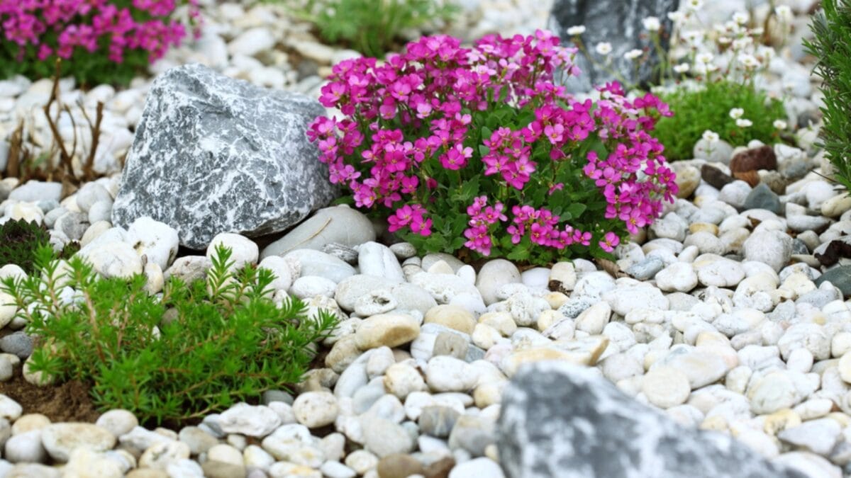 Say Goodbye to Garden Chores with These 20 Maintenance-Free Front Yard Ideas  - garden with rocks dp5397650