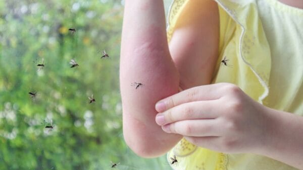 25 Useful Ways to Put Wood Ash to Work