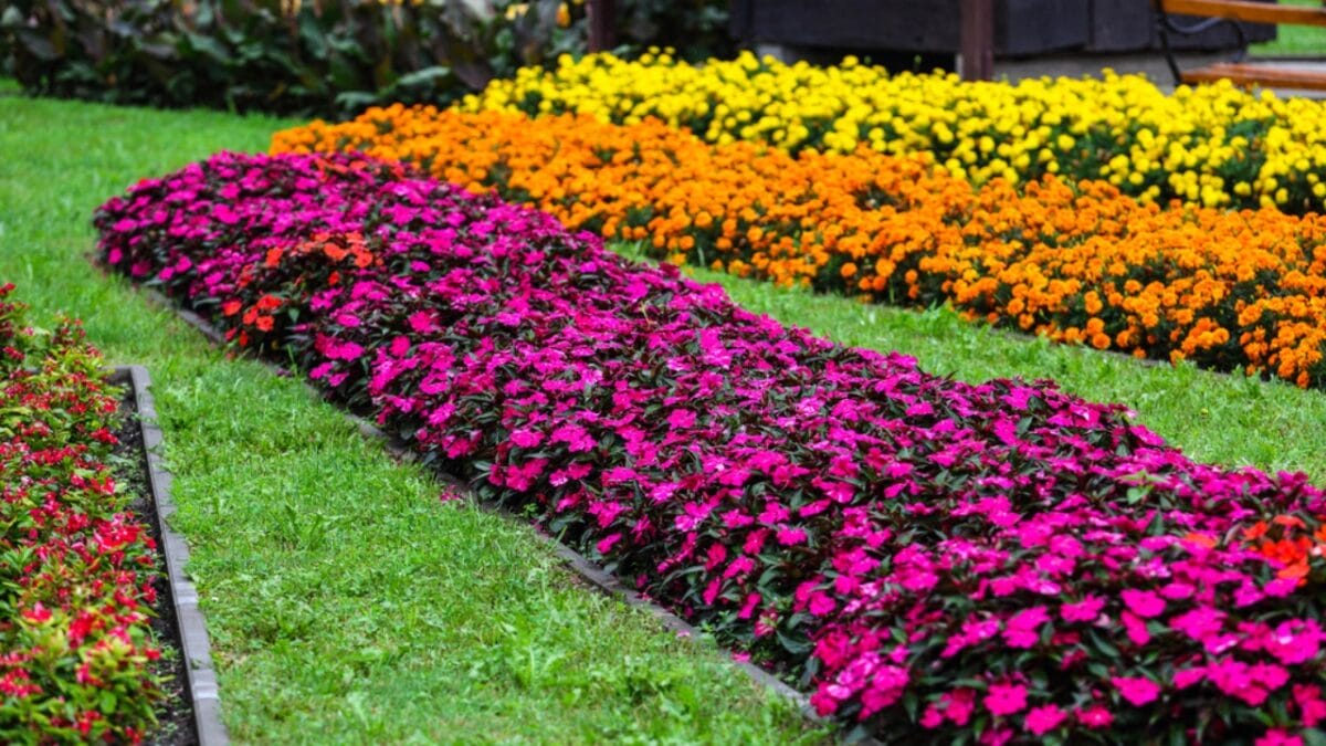 14 Easy & Creative DIY Ideas for a Beautiful Yard - ground cover plants colorful dp206989074