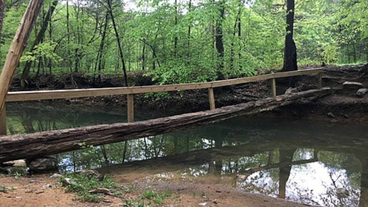 35 Dog Walking Trails That Prove USA Is a Dog's Paradise - jericho trail wc