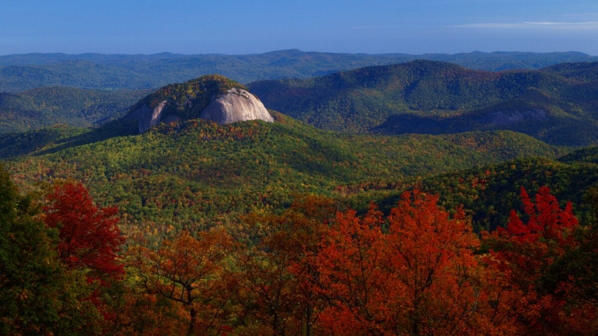 35 Dog Walking Trails That Prove USA Is a Dog's Paradise - looking glass rock trail ss38532607