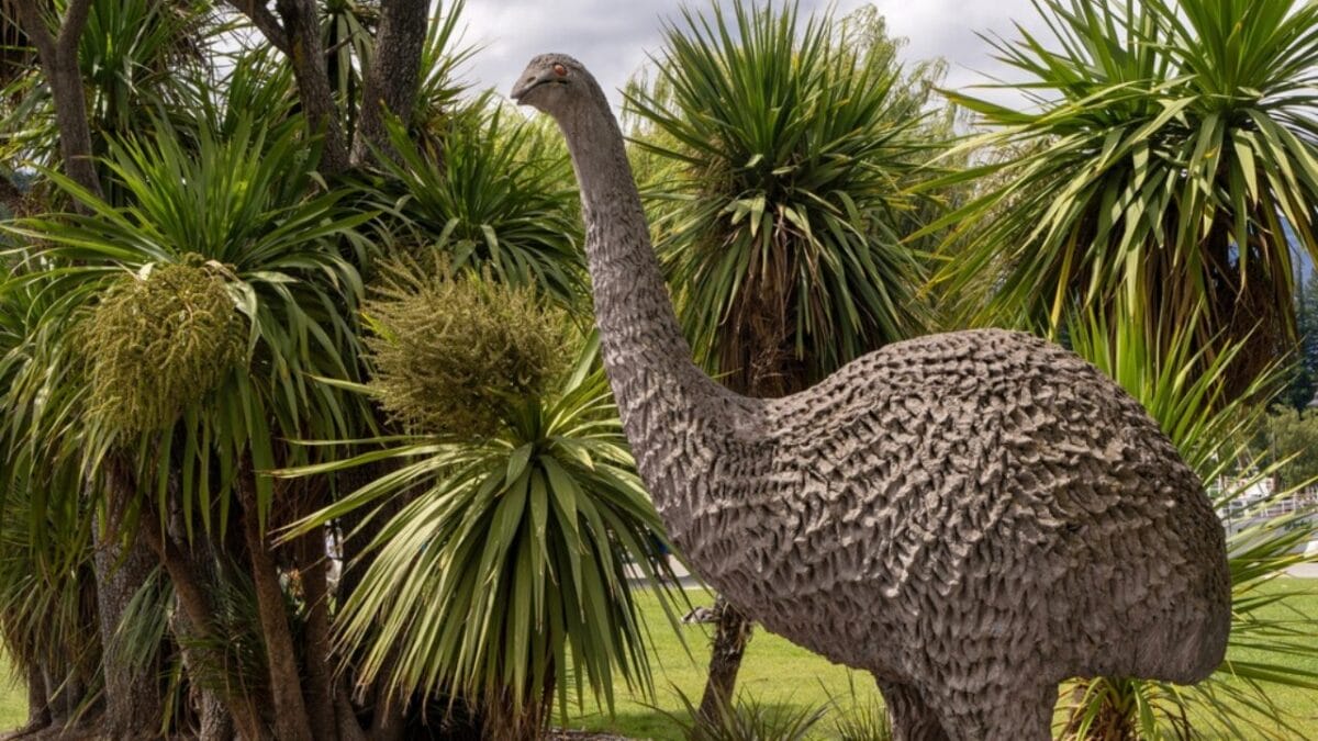 The Lazarus Effect: Could These 15 Extinct Creatures Walk the Earth Again? - moa ss2442152361