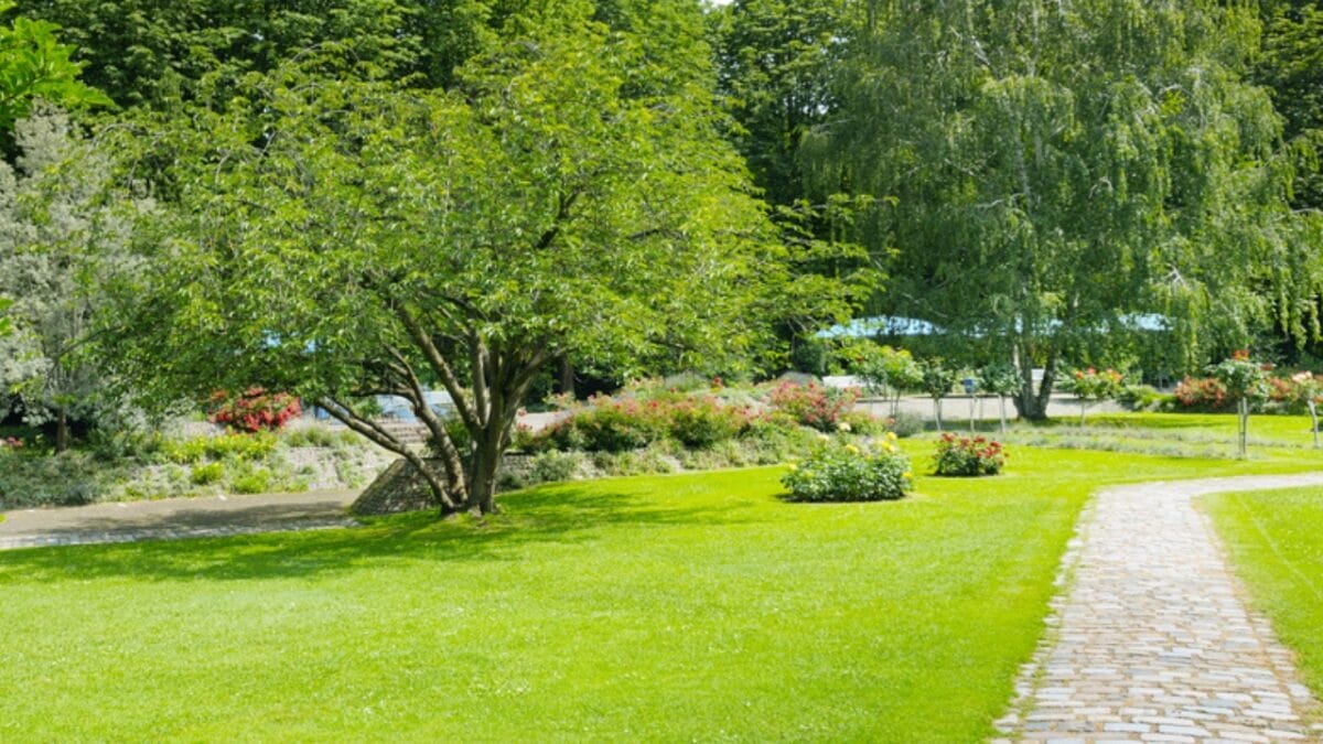 Say Goodbye to Garden Chores with These 20 Maintenance-Free Front Yard Ideas  - moss carpet garden ss220160788