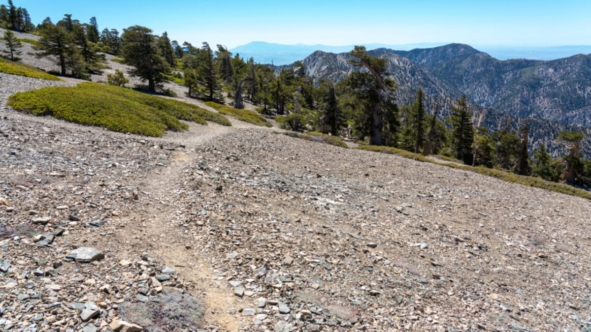 35 Dog Walking Trails That Prove USA Is a Dog's Paradise - mount baldy loop trail ss1770214088