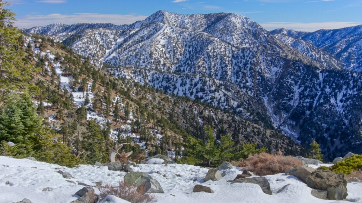 35 Dog Walking Trails That Prove USA Is a Dog's Paradise - mount san antonio ss1787878751
