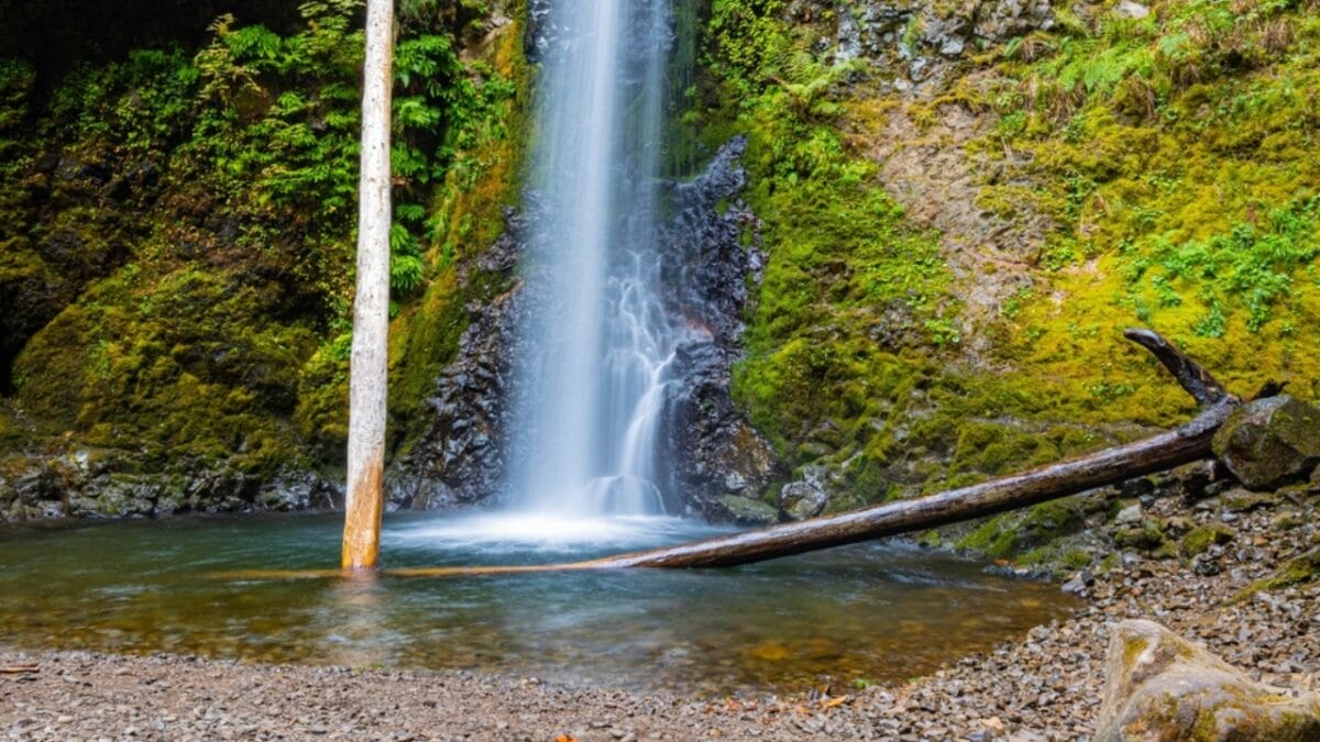 35 Dog Walking Trails That Prove USA Is a Dog's Paradise - multnomah falls loop ss2384832733