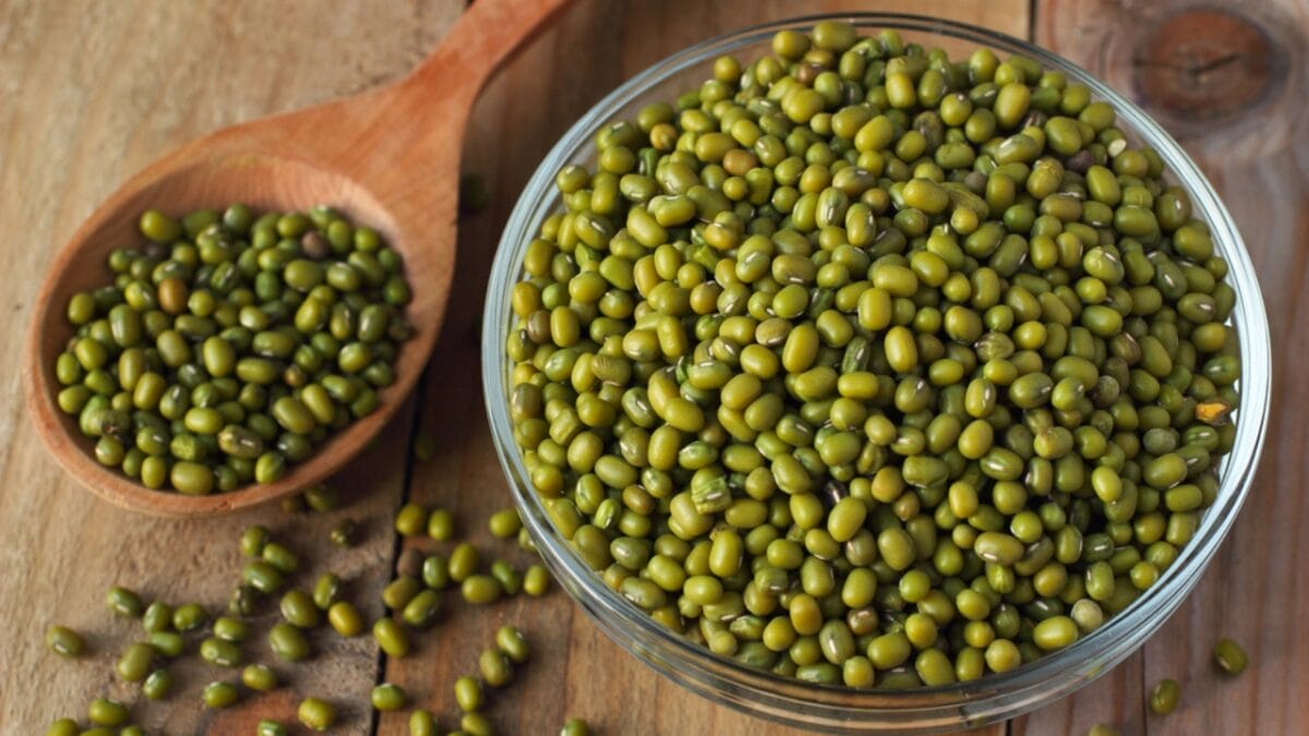 45% of Older Adults Have Age-Related Muscle Loss: 17 High-Protein Plants You Can Grow in Your Garden - mung beans dp40873909