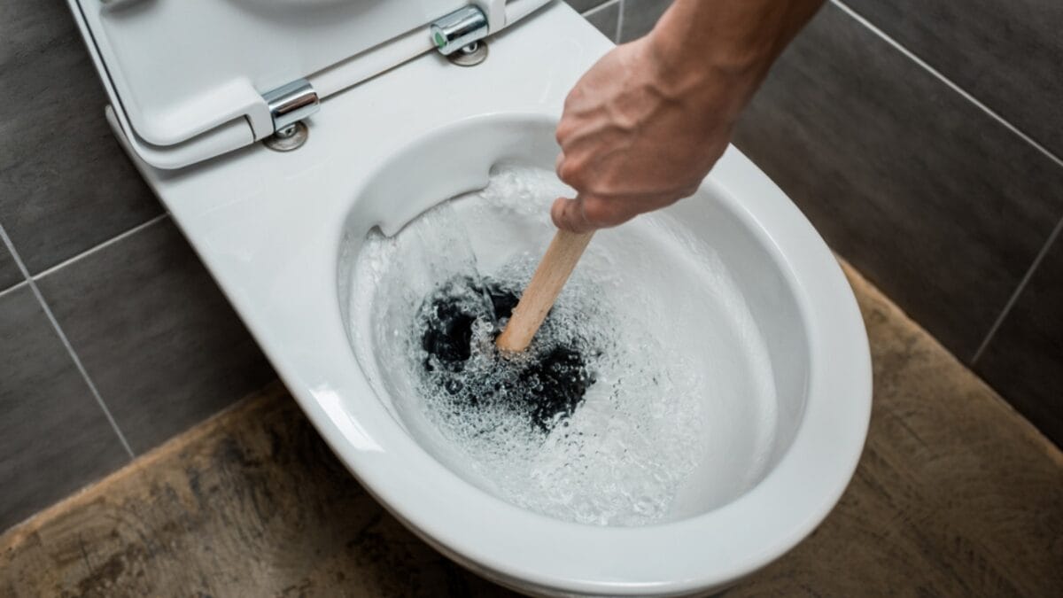 15 Ways Apple Cider Vinegar Can Banish Dirt, Grime & Odors in Your Home - scrubbing toilet bowl dp324890070