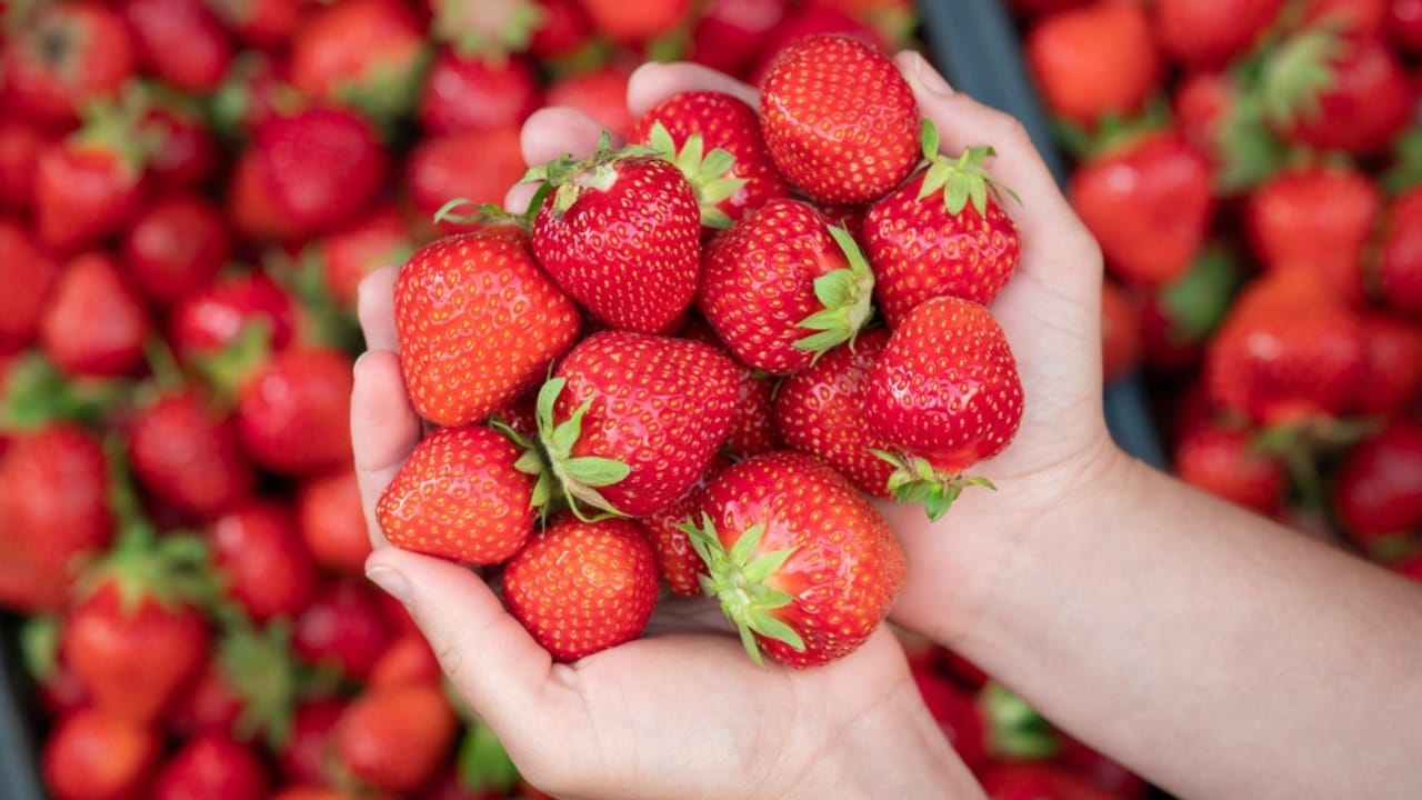 15 Foods in Your Fridge That Spoil Faster Than You Think - strawberry ss2385549901