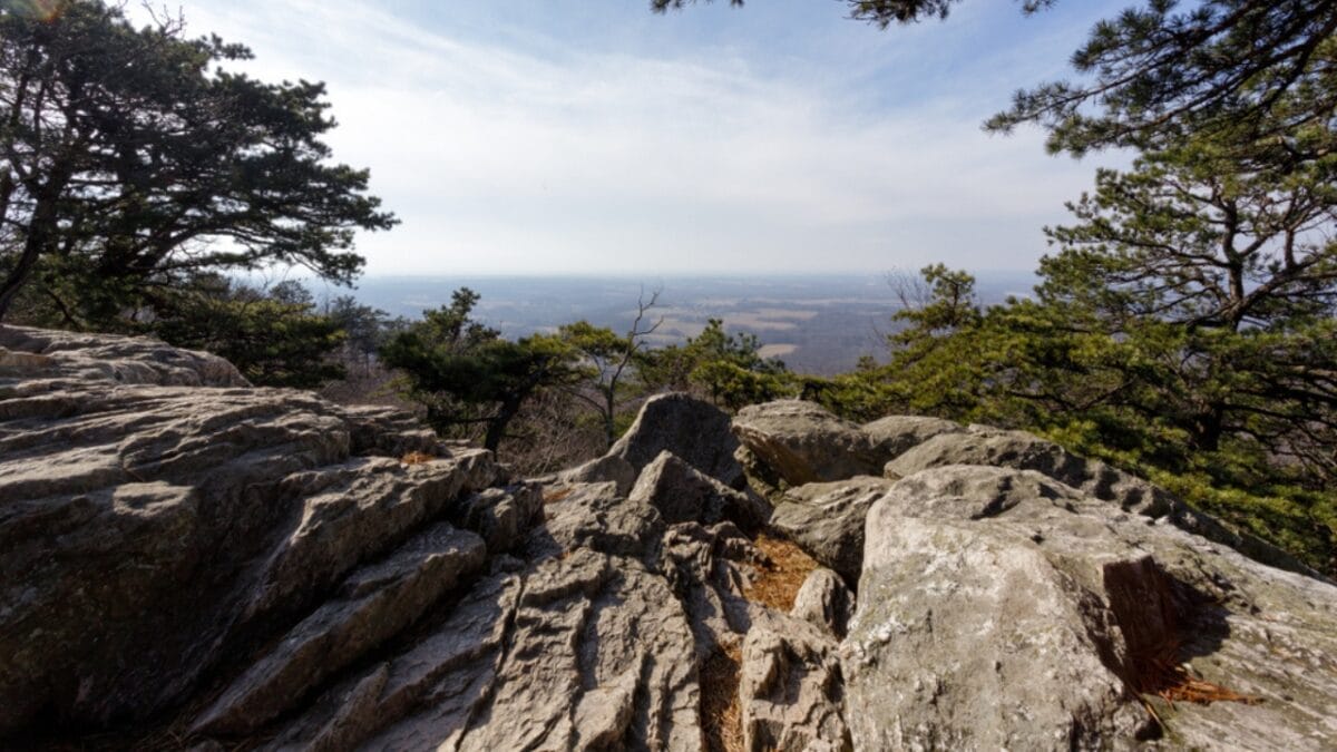 35 Dog Walking Trails That Prove USA Is a Dog's Paradise - sugarloaf mountain maryland ss1388583506
