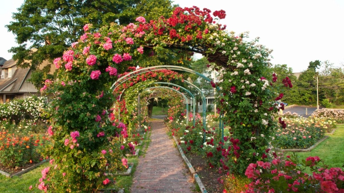 14 Easy & Creative DIY Ideas for a Beautiful Yard - trellis garden dp27307119