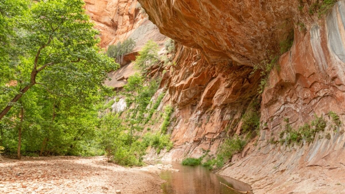 35 Dog Walking Trails That Prove USA Is a Dog's Paradise - west fork of oak creek trail ss2474199399