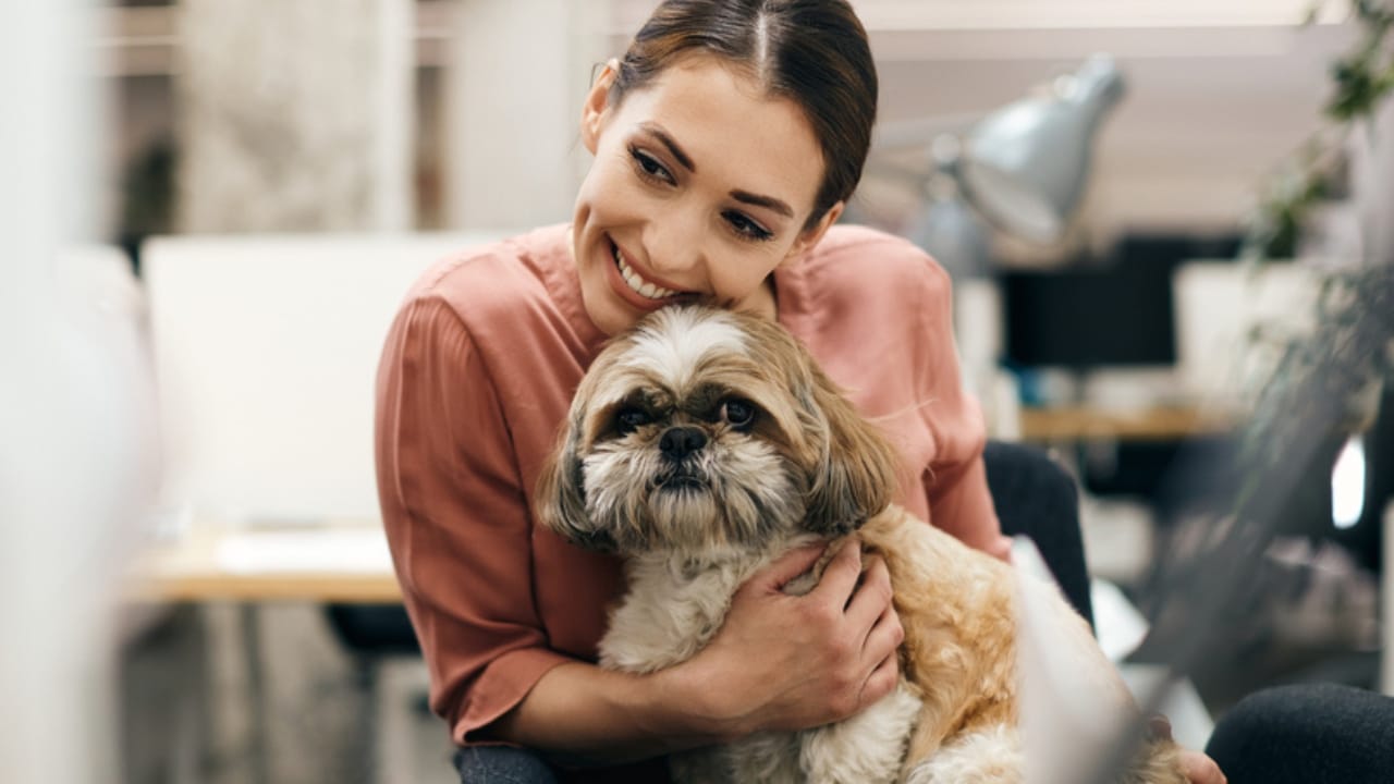 9 Shih Tzu Tips Every New Dog Parent Needs to Know - woman hugging shih tzu dog ss1983774782