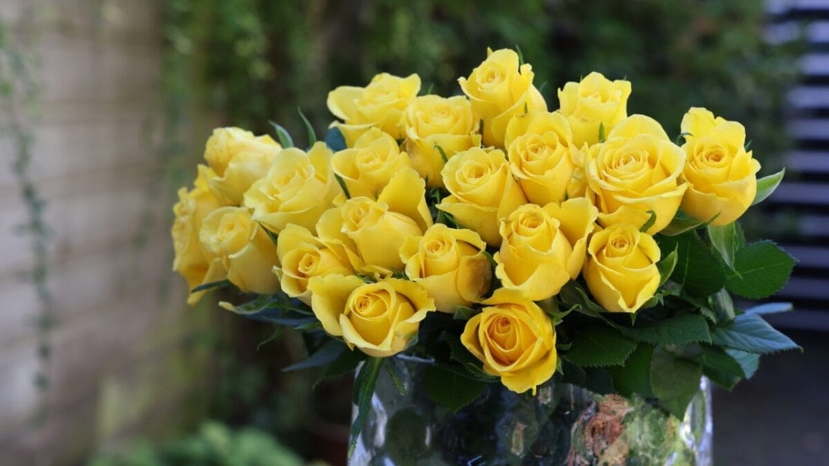 15 Perfect Flowers for Each Anniversary Milestone - yellow roses dp677622918