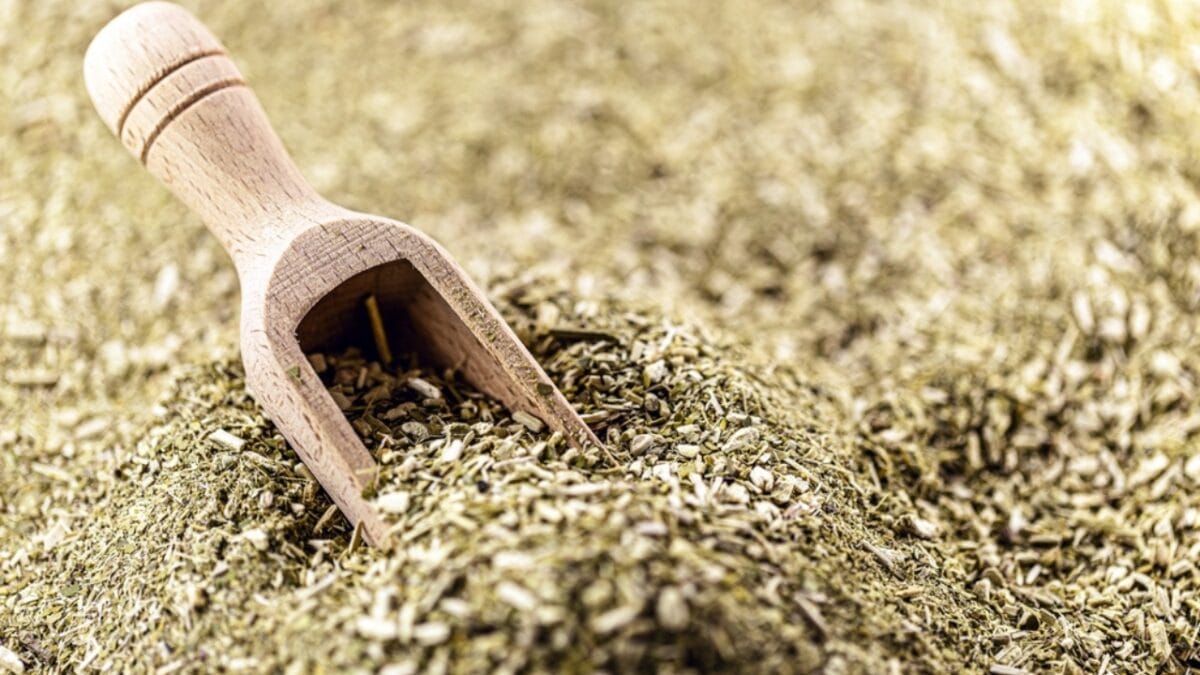 14 Energizing Coffee Alternatives to Jumpstart Your Day - yerba mate ss2354846905