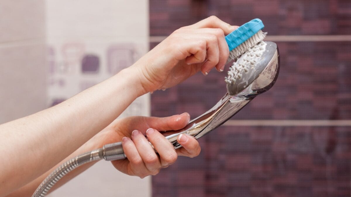 10 Easy Steps to a Sparkling Clean Shower Head - brushing ss676412485