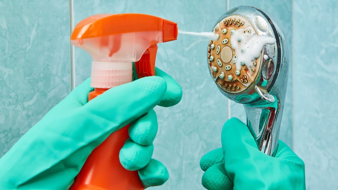 10 Easy Steps to a Sparkling Clean Shower Head - cleaning shower ss1055908928