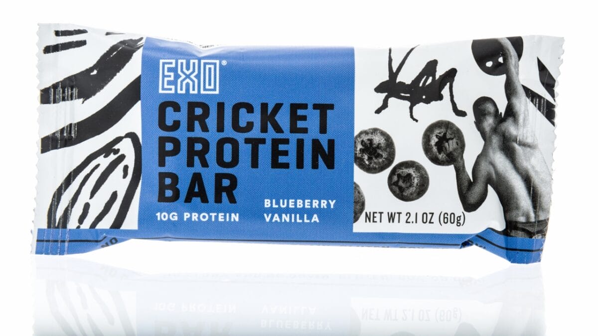 Edible Insects are Gaining Buzz: 7 Things You Should Know - cricket protein bar ss1475274128