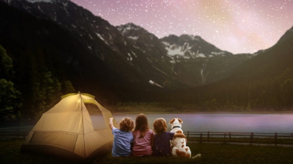 20 Unforgettable Experiences for Your Dog's Bucket List - dog camping ss2179493243