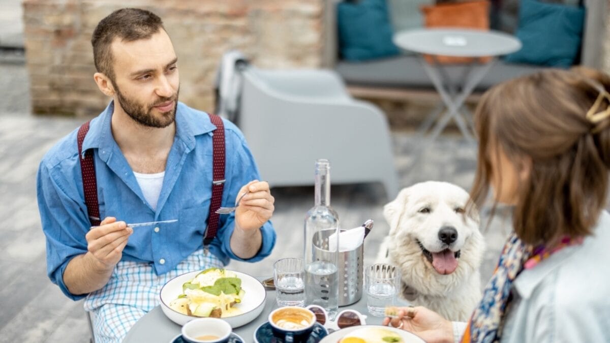 20 Unforgettable Experiences for Your Dog's Bucket List - dog in restaurant ss2166582229