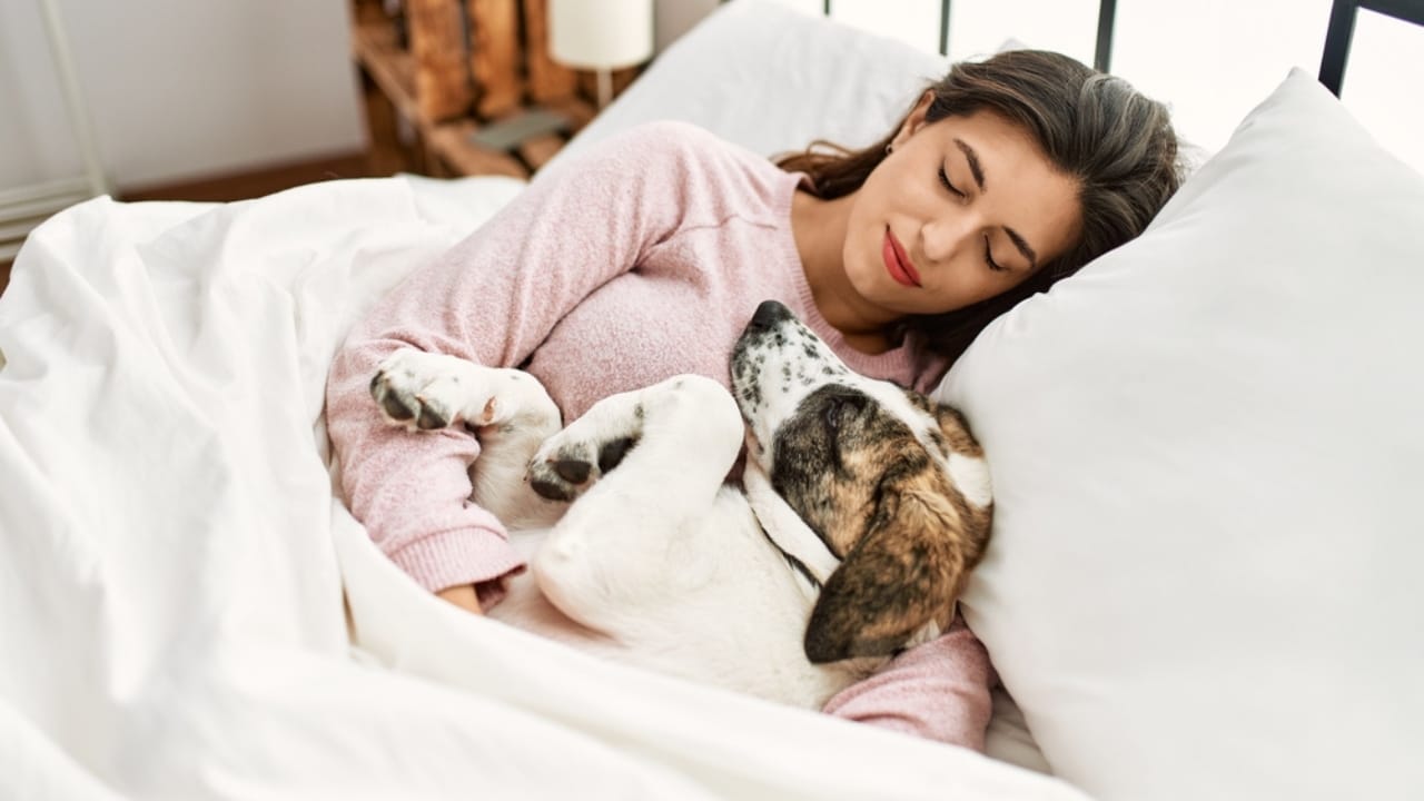 Pets May Know Exactly When They're Dying & The Emotional Last Act for Their Owners - dog with owner in bed dp542222216
