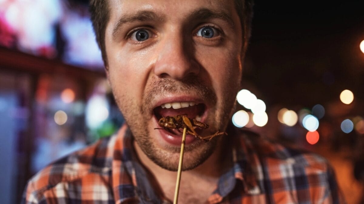 Edible Insects are Gaining Buzz: 7 Things You Should Know - eating cricket dp173298748