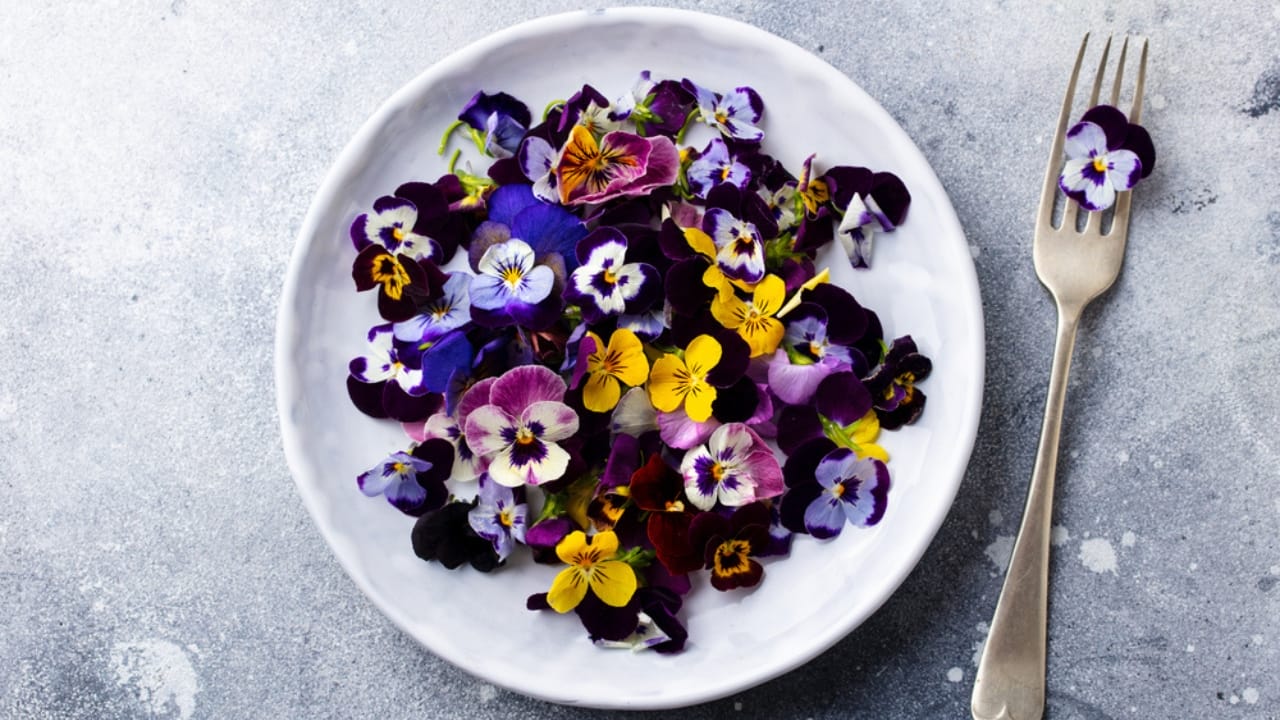 25 Edible Flowers Revolutionizing Modern Cuisine - edible flowers ss1662385039