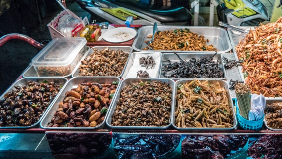 Edible Insects are Gaining Buzz: 7 Things You Should Know - edible insects dp222131522