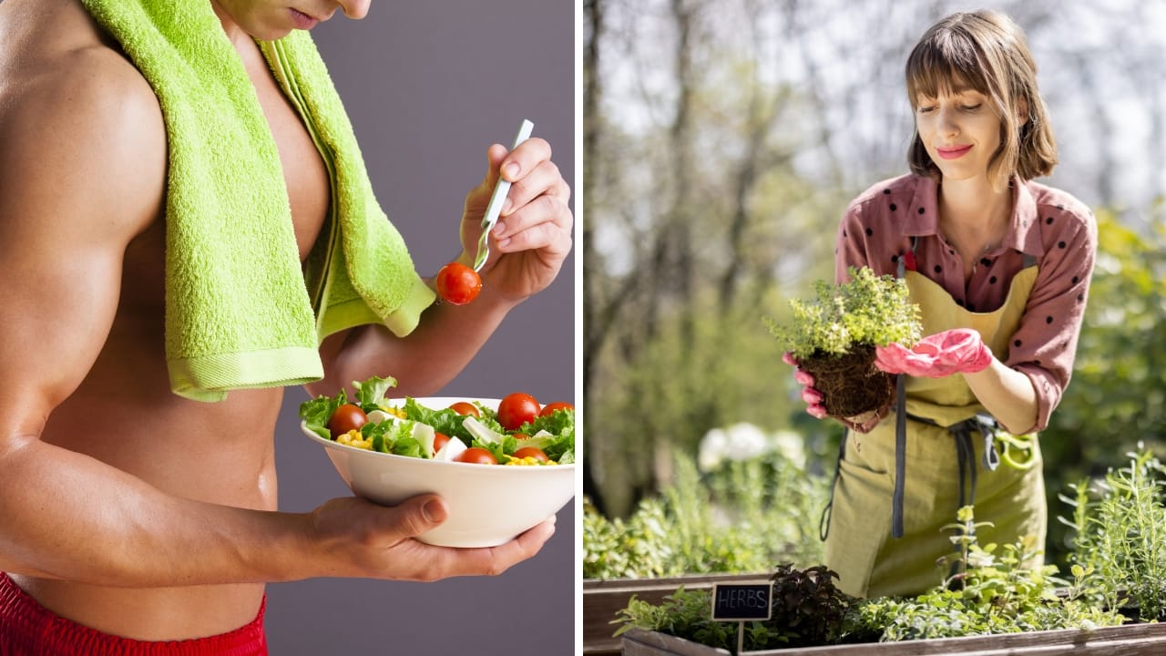 45% of Older Adults Have Age-Related Muscle Loss: 17 High-Protein Plants You Can Grow in Your Garden - fit man gardener ss253347028
