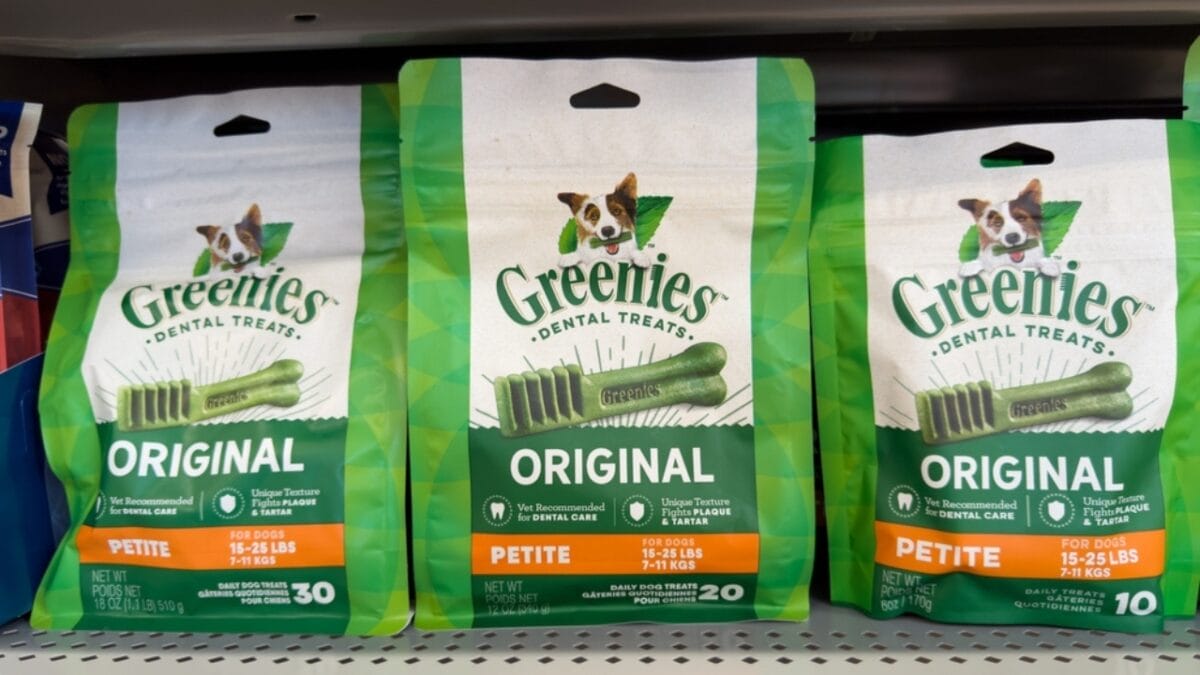 17 Dog Treat Brands with Ingredients to Steer Clear Of - greenies dog treats ss2303042975