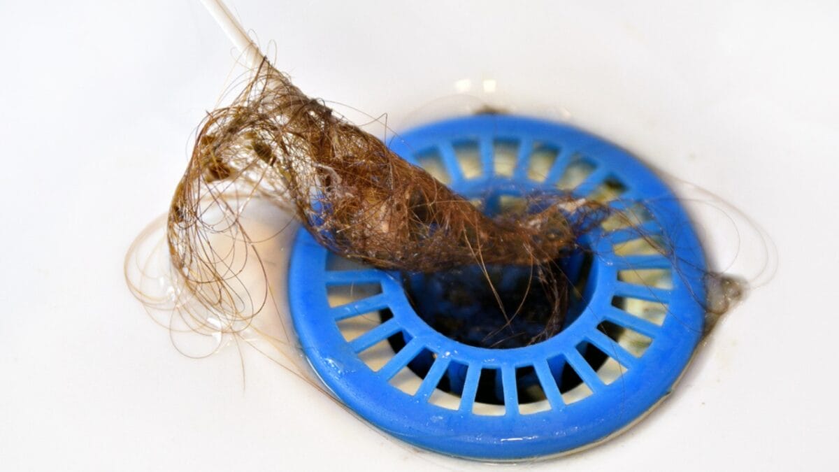 Bathroom Smelling Like a Sewer? Here's What to Do - hair clog dp355934064